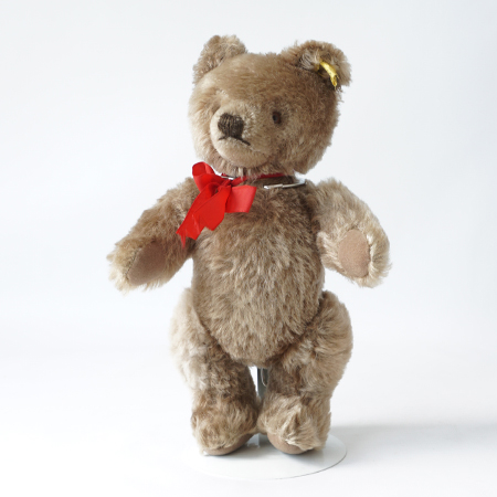 Spotlight On … 'Collinn', our Steiff Teddy Bear