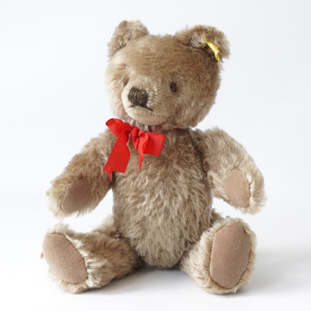 Spotlight On … 'Collinn', our Steiff Teddy Bear